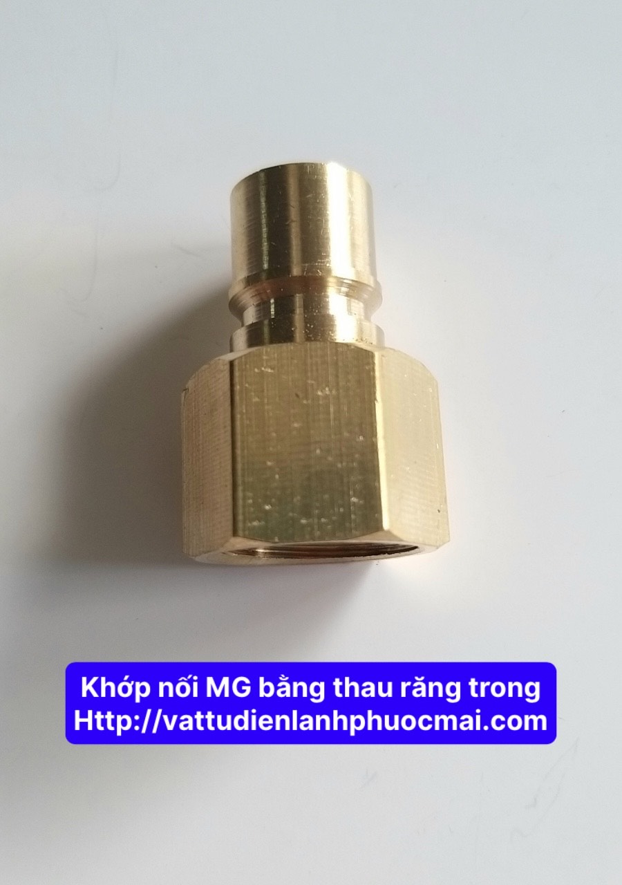 Khớp nối mg bằng thau răng trong