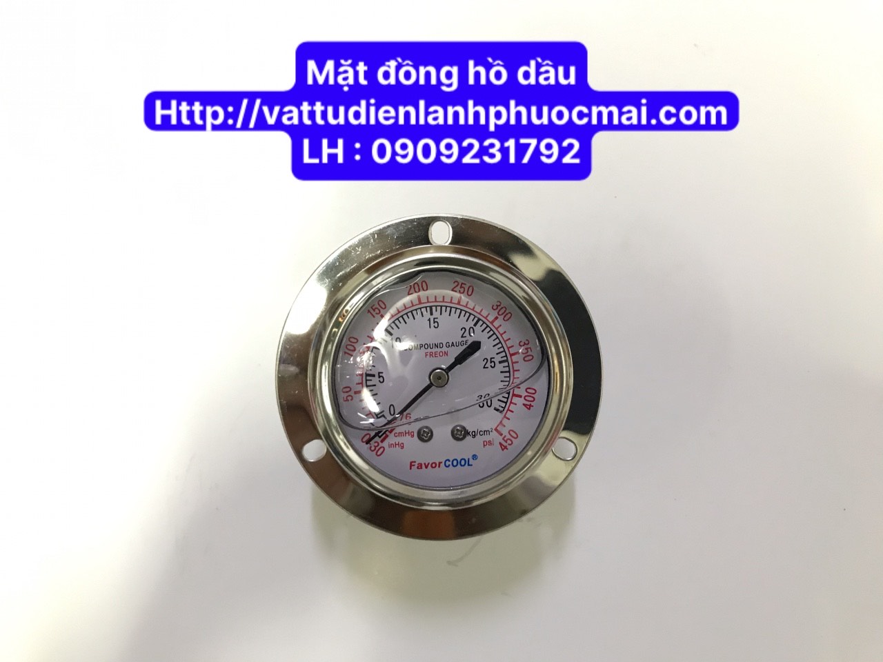 Mặt đồng hồ dầu chân sau